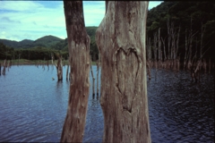 閉ざされた口・・・