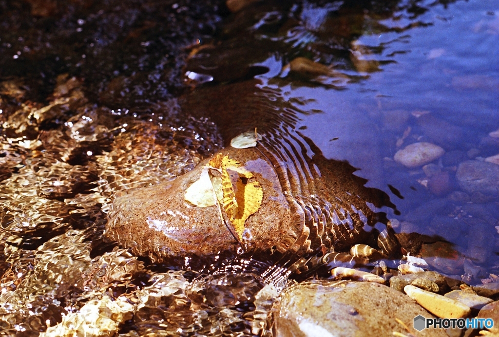 水は命・・・