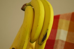 三度の飯より好きな・・・