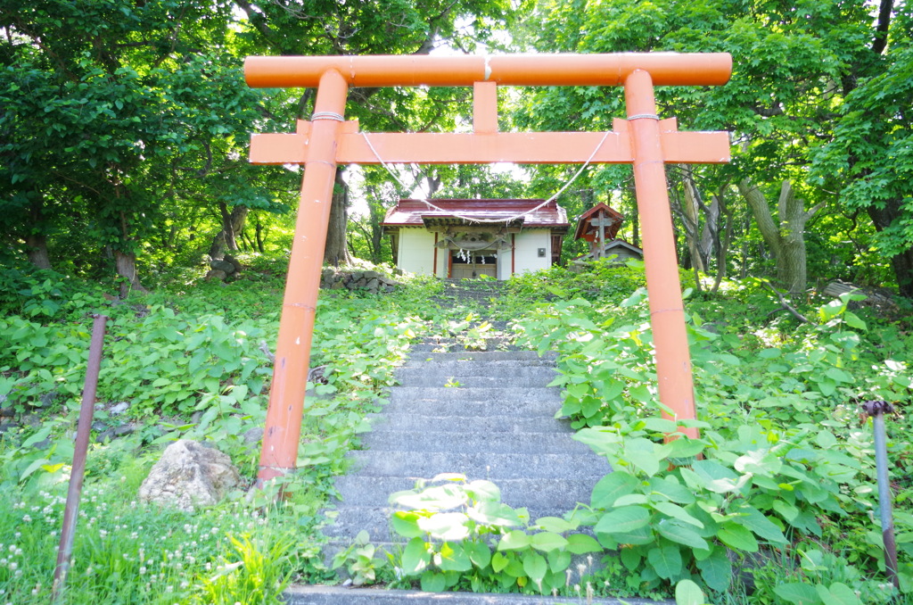 漁村の鳥居