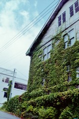 蔦の会館・・・