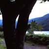 木陰からダム湖・・・