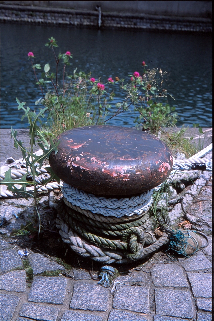 しっかり繋いで・・・