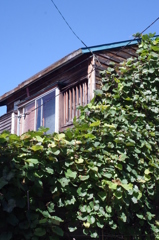 涼しい小窓・・・・