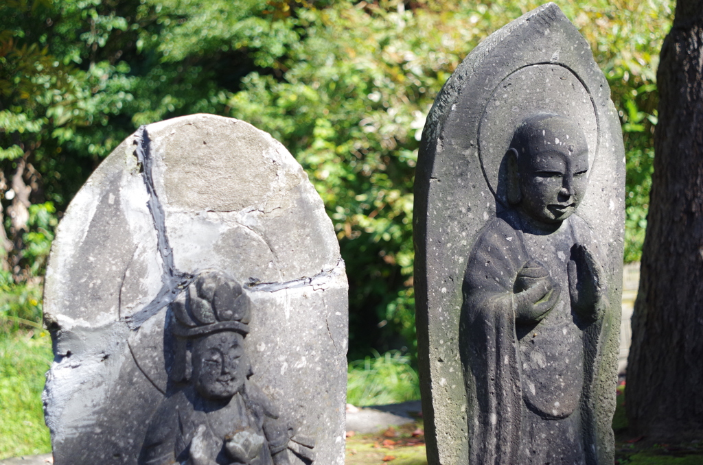 仲良くしようね！