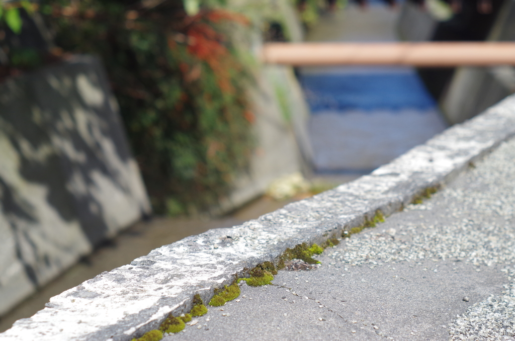 水路をパッと見・・