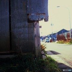 日差しを避けて・・・