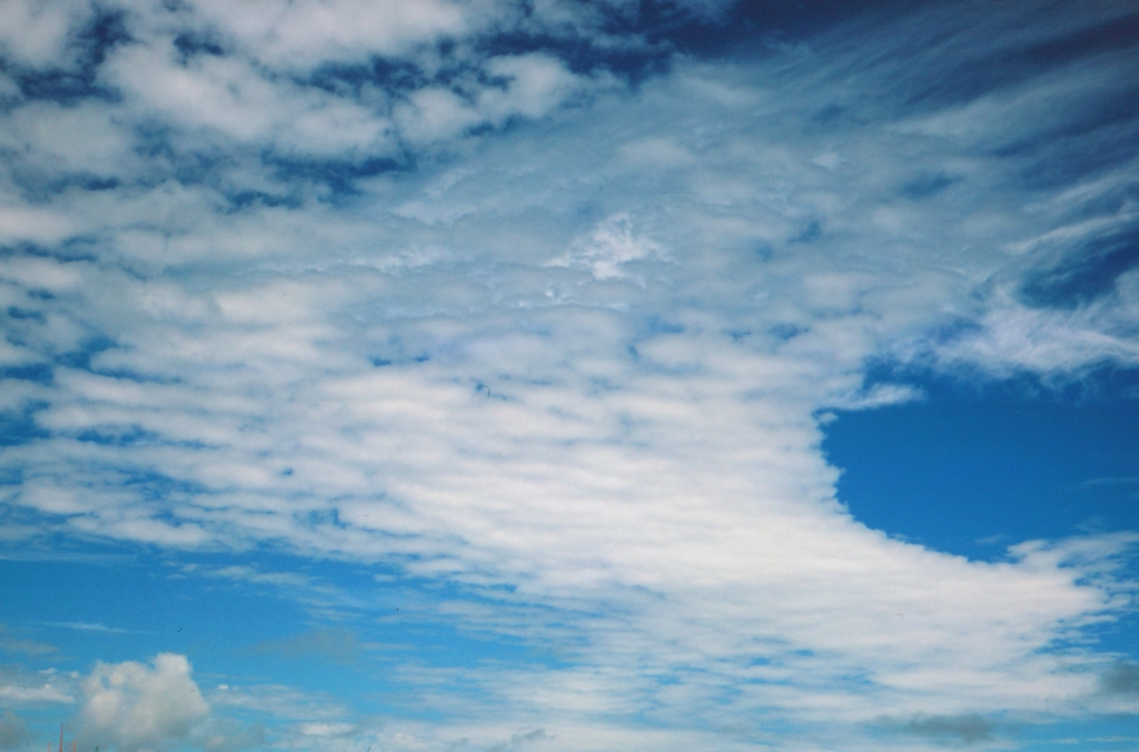 居間から見た空・・・