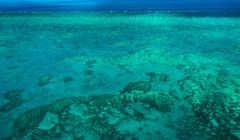 世界遺産の海と珊瑚礁
