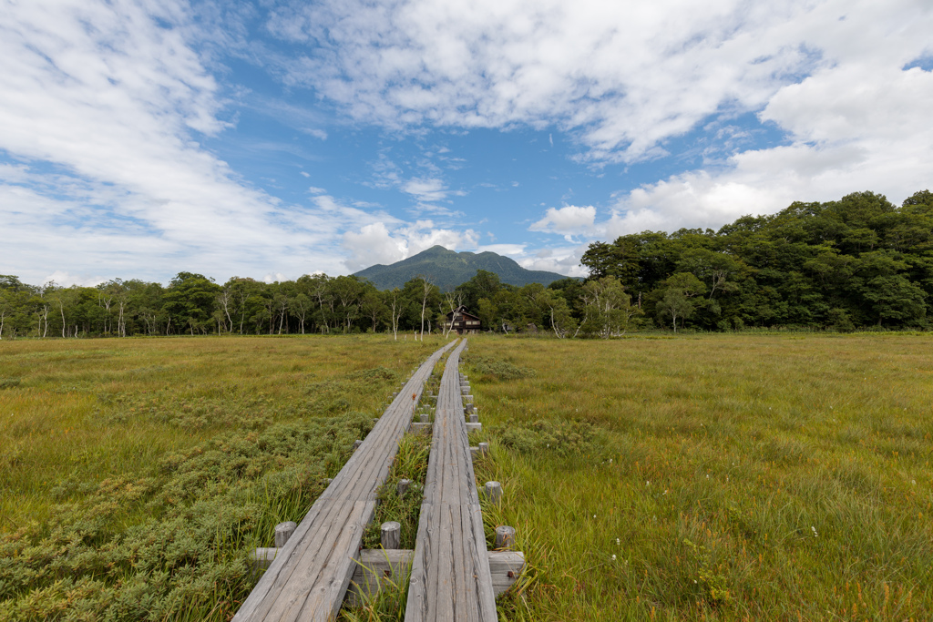 山へ