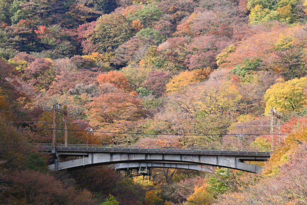 例の橋