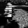新宿御苑のベンチ