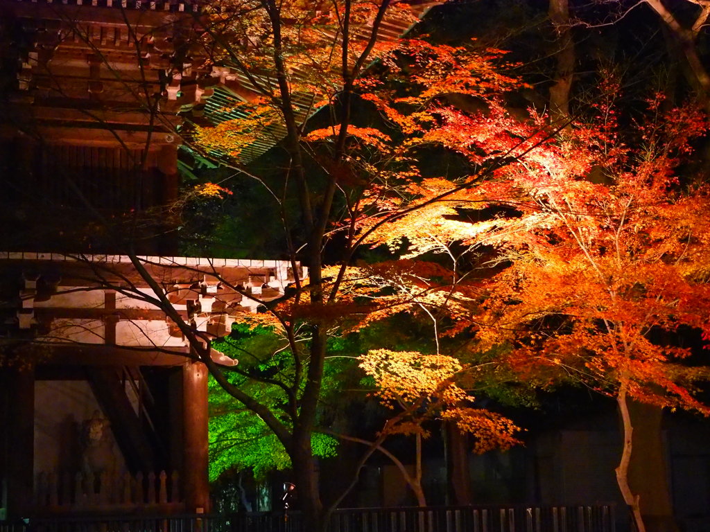 紅葉と寺