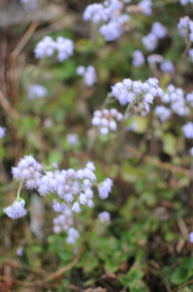 The Himalayan Kathmandu & Pokhara, Nepal