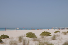 dsc_4860_21700099485_o