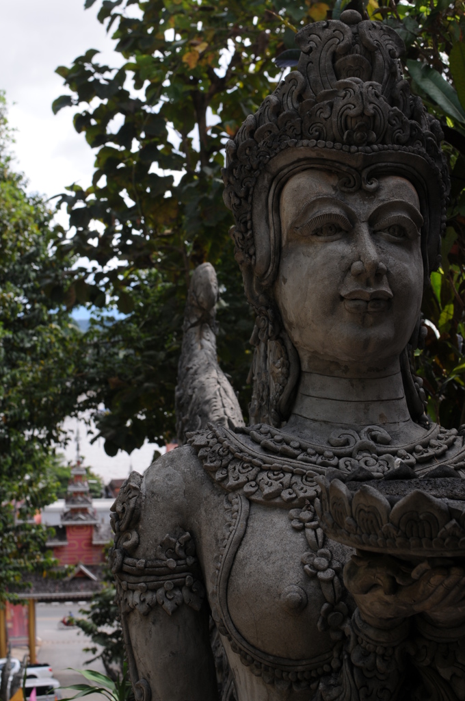 dsc_5544_21502277135_o