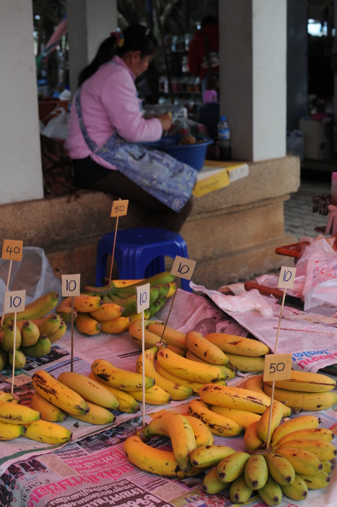 dsc_5582_21510862651_o