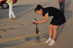 dsc_4954_21688698682_o
