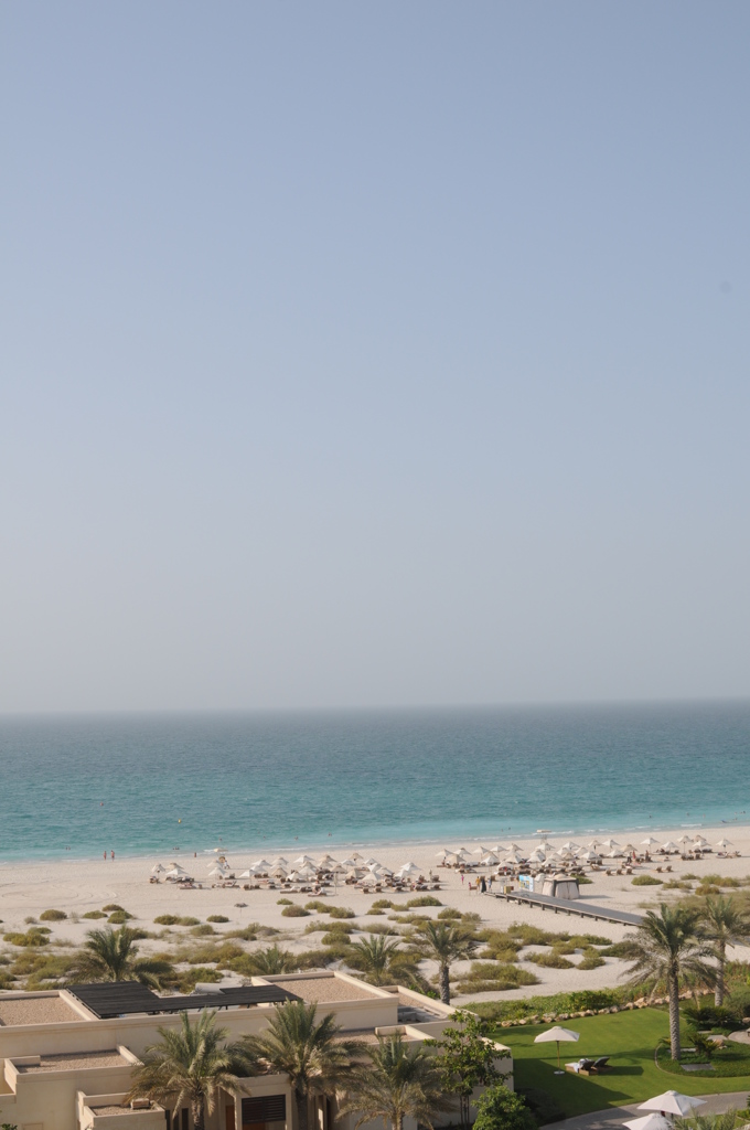 dsc_4869_21700063775_o