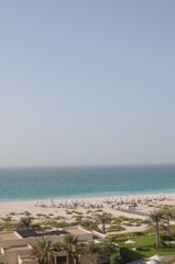 dsc_4869_21700063775_o