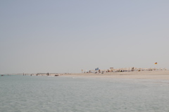 dsc_4912_21674075996_o