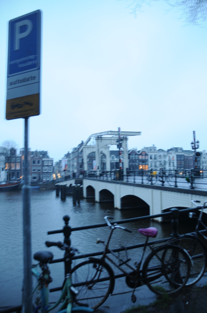 DSC_3956