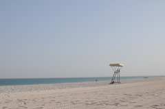 dsc_4899_21700125475_o