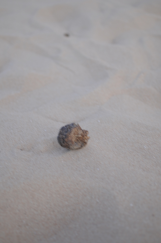 dsc_5002_21512356908_o