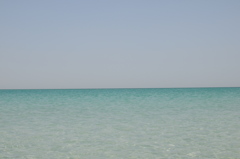 dsc_4913_21512306578_o