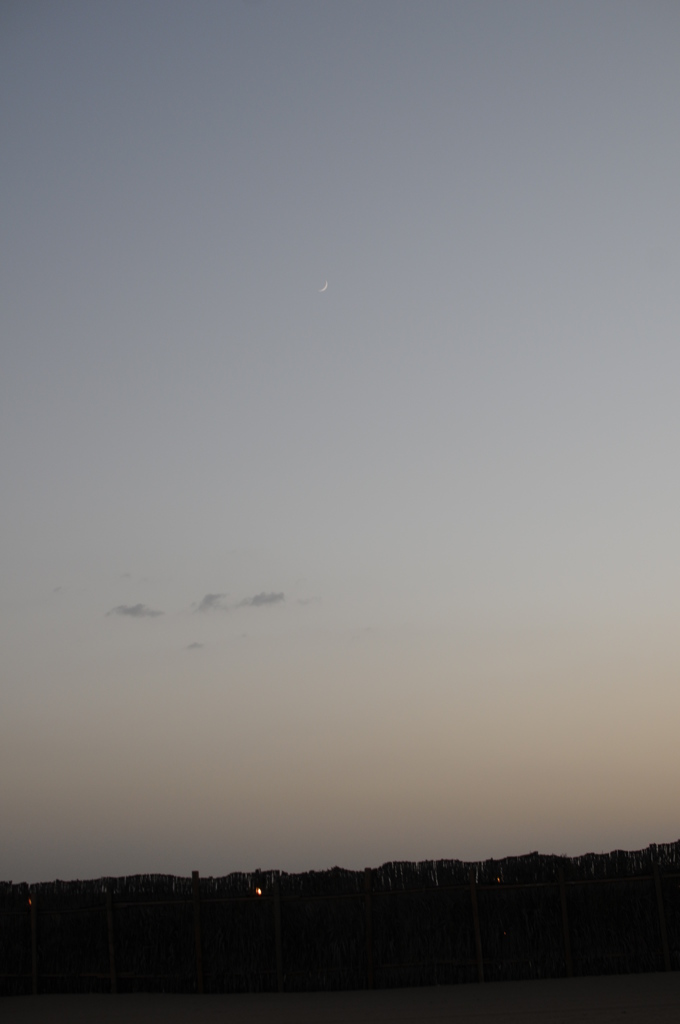 dsc_5001_21079199003_o