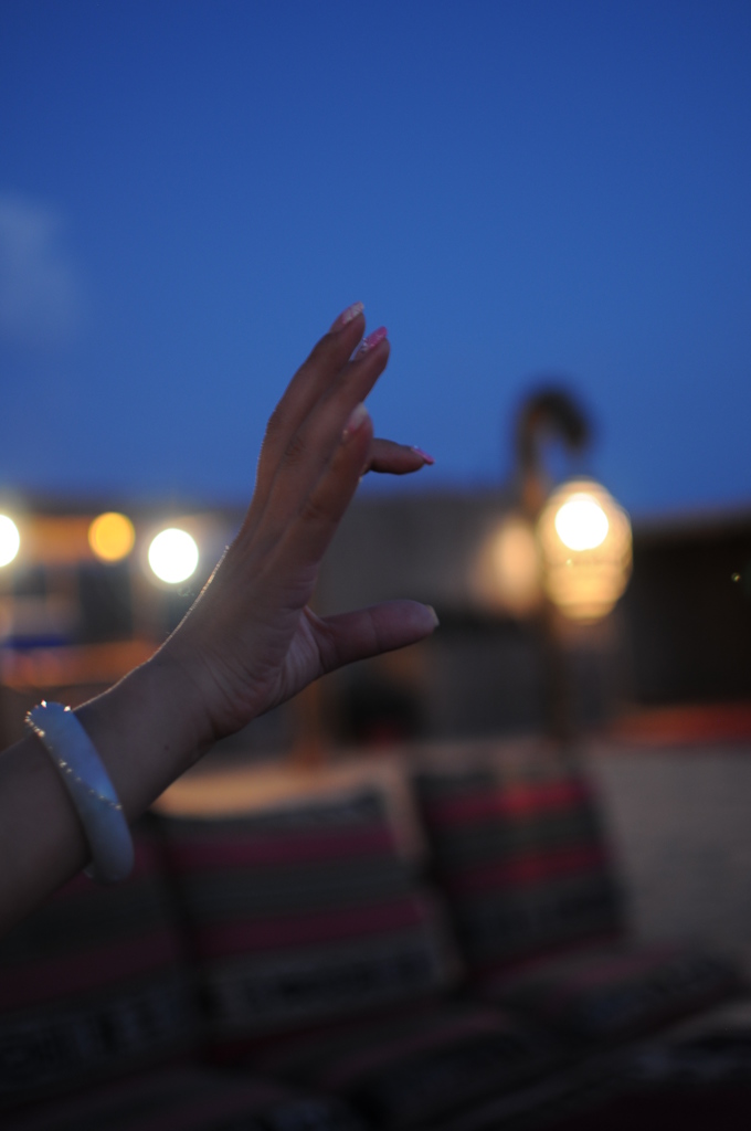 dsc_5010_21688728652_o