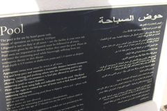 dsc_4904_21700129175_o