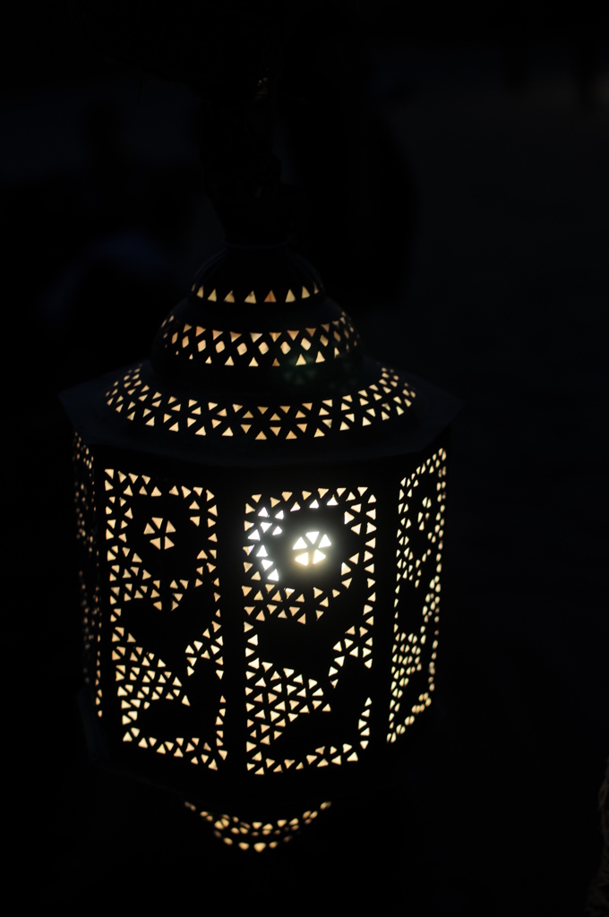 dsc_5006_21077484324_o