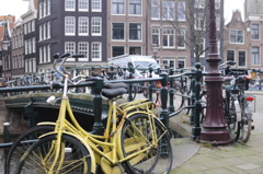 Amsterdam Coffeeshops