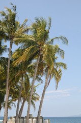 dsc_7399_25948320836_o