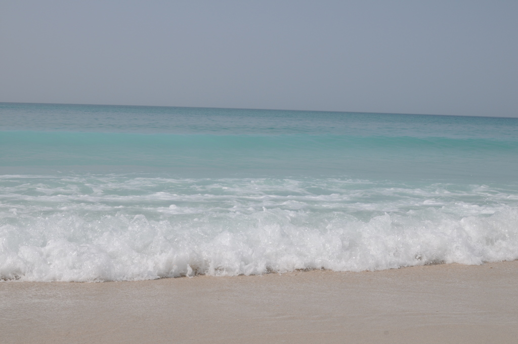 dsc_4849_21079105553_o