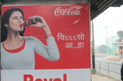 The Himalayan Kathmandu & Pokhara, Nepal