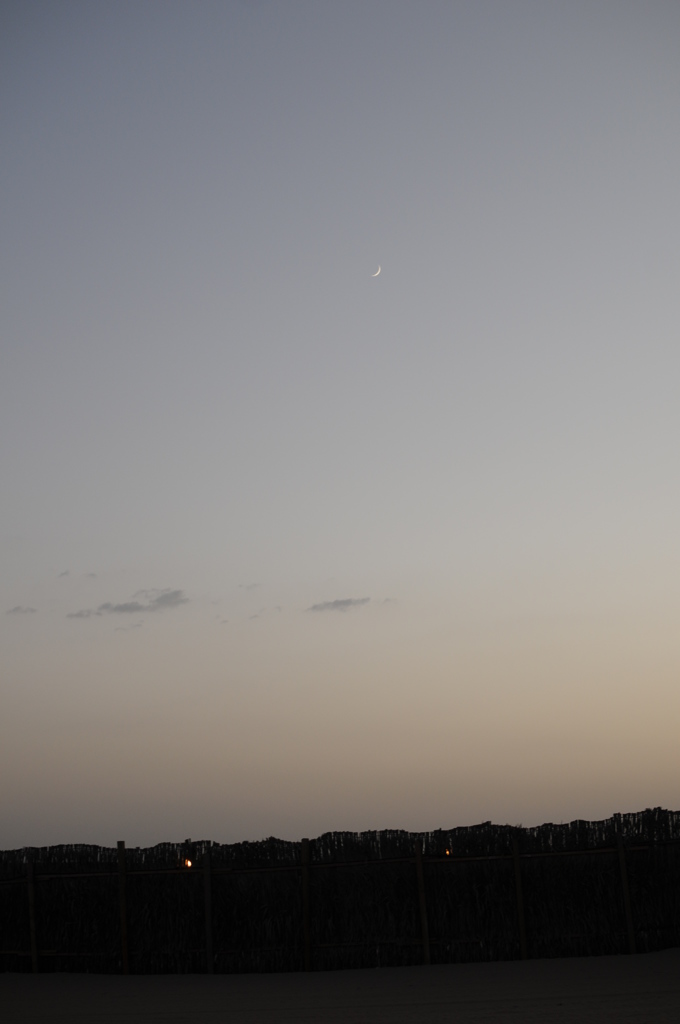 dsc_5003_21674128296_o