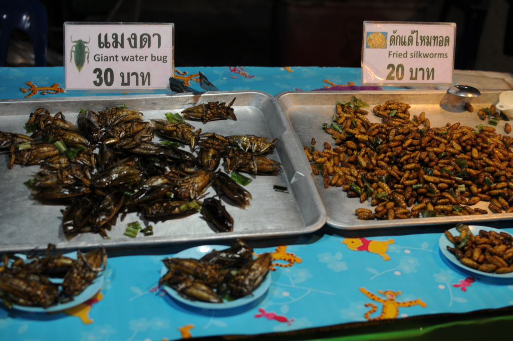 dsc_5627_21475964616_o