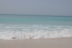 dsc_4850_21512265238_o