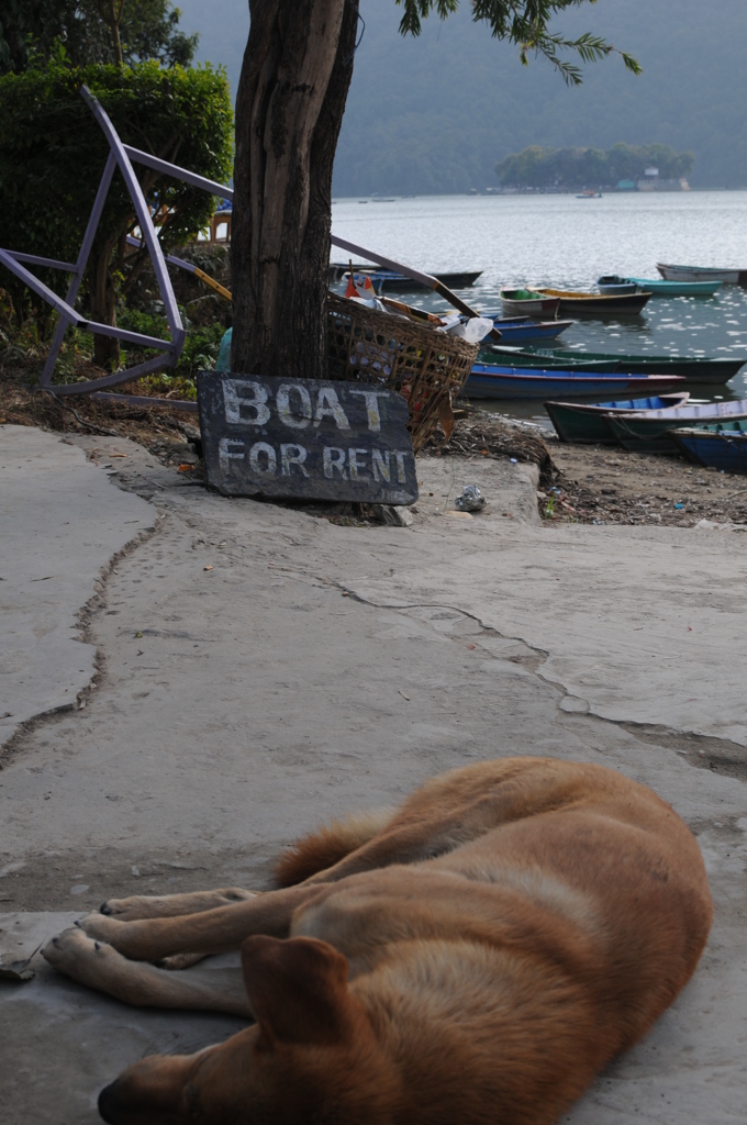 The Himalayan Kathmandu & Pokhara, Nepal