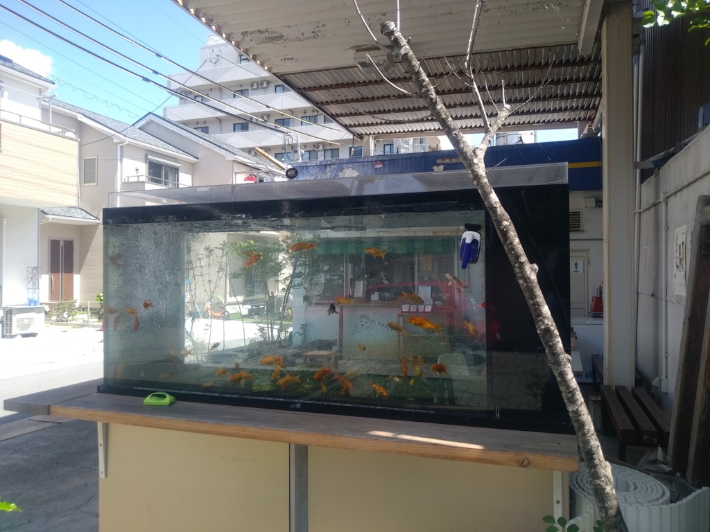 金魚の電話ボックスの跡地には…