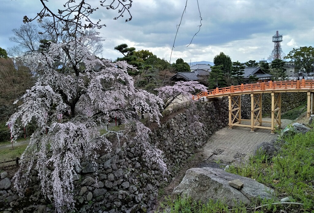 郡山城跡の新名所