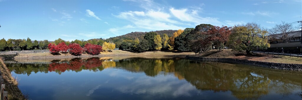 大仏池の紅葉2021～異変に気付きましたか？～