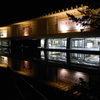 奈良国立博物館