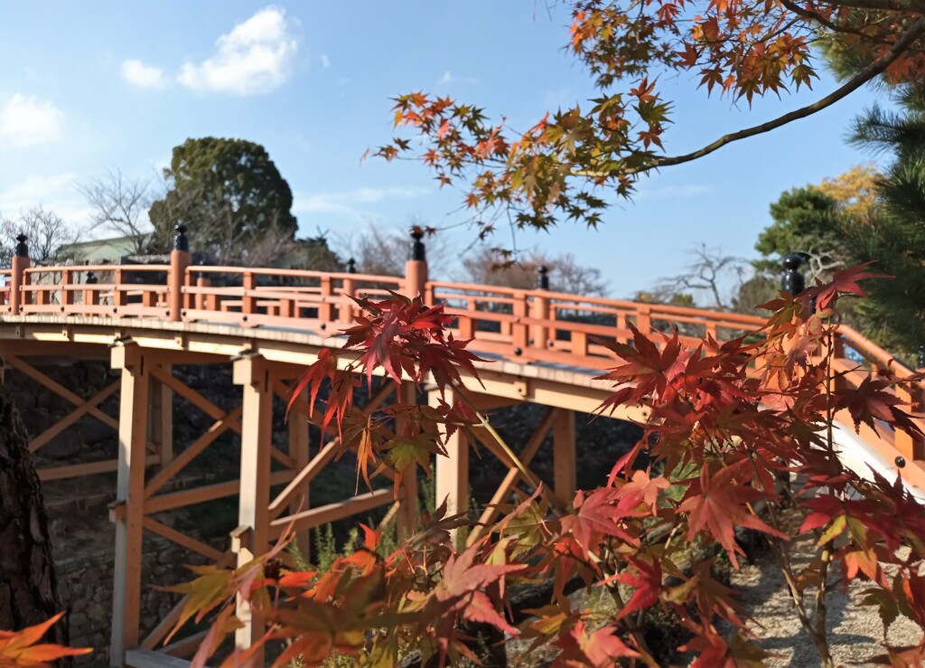 新名所で紅葉狩り