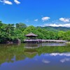 清々しい青と緑