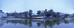 猿沢池 / 雪景のパノラマ