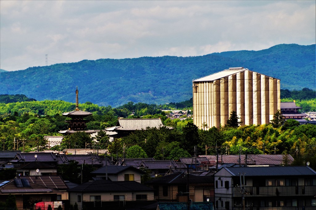 薬師寺遠景 ～郡山城天守台から～