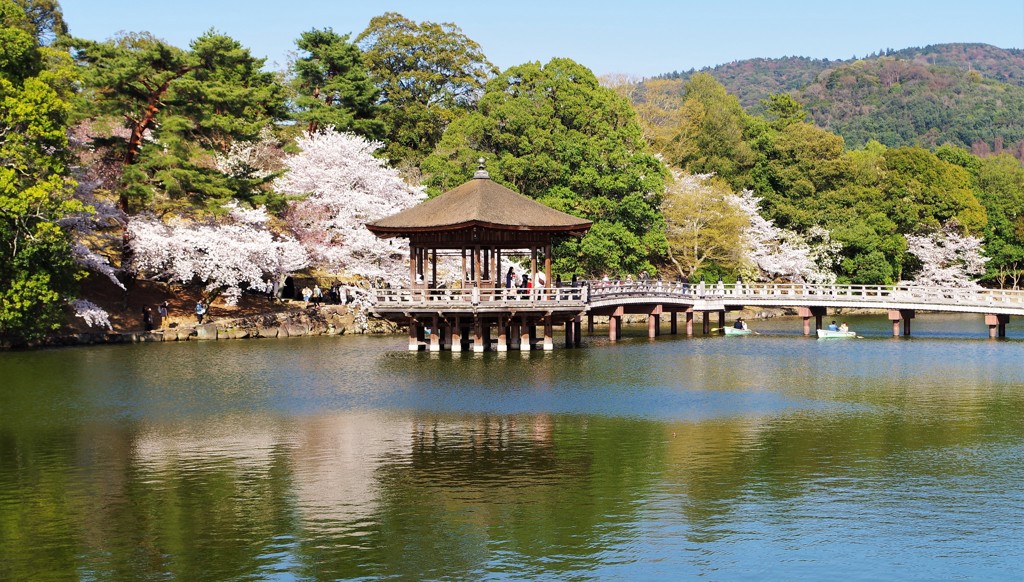 浮見堂にも桜咲く